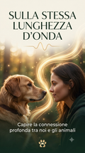 Ebook